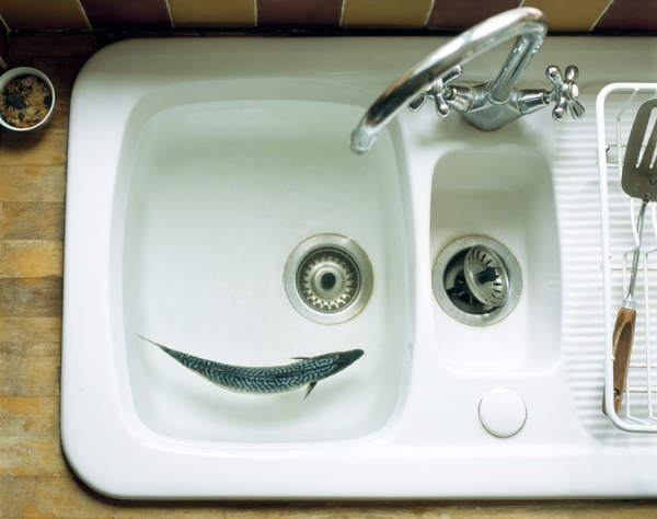 Photograph Robert Burton Fish on One Eyeland
